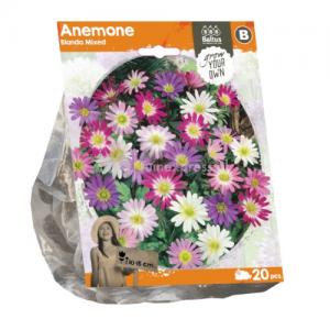 Baltus Anemone Blanda Mixed bloembollen per 20 stuks